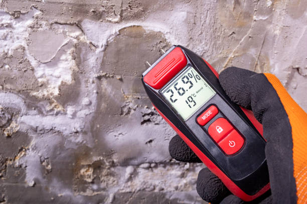 Best Crawl Space Mold Removal  in Green Valley, AZ