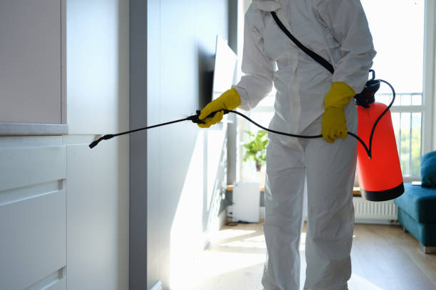 Best Mold Cleaning Services  in Green Valley, AZ