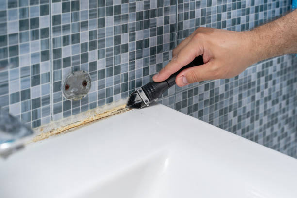 Best Mold Damage Repair  in Green Valley, AZ