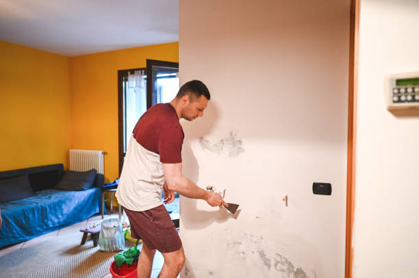 Best Best Mold Removal Companies  in Green Valley, AZ